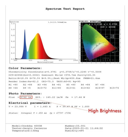 Lámpara Lineal Colgante LED - LOLA Negro